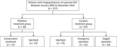 Clinical course and role of embolization in patients with spontaneous rupture of hepatocellular carcinoma